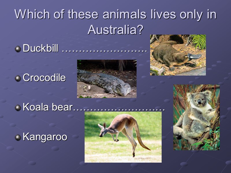 Which of these animals lives only in Australia? Duckbill …………………….  Crocodile  Koala